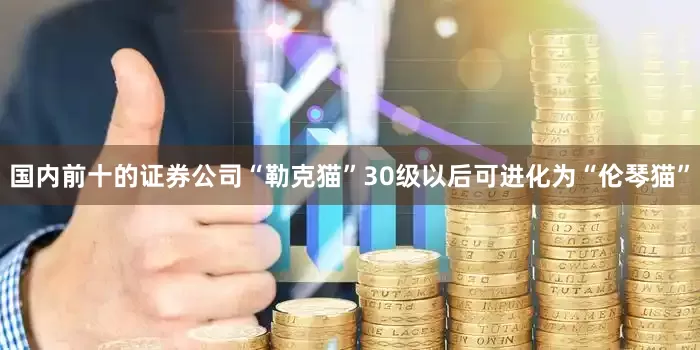 国内前十的证券公司“勒克猫”30级以后可进化为“伦琴猫”