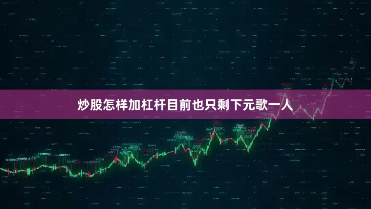 炒股怎样加杠杆目前也只剩下元歌一人